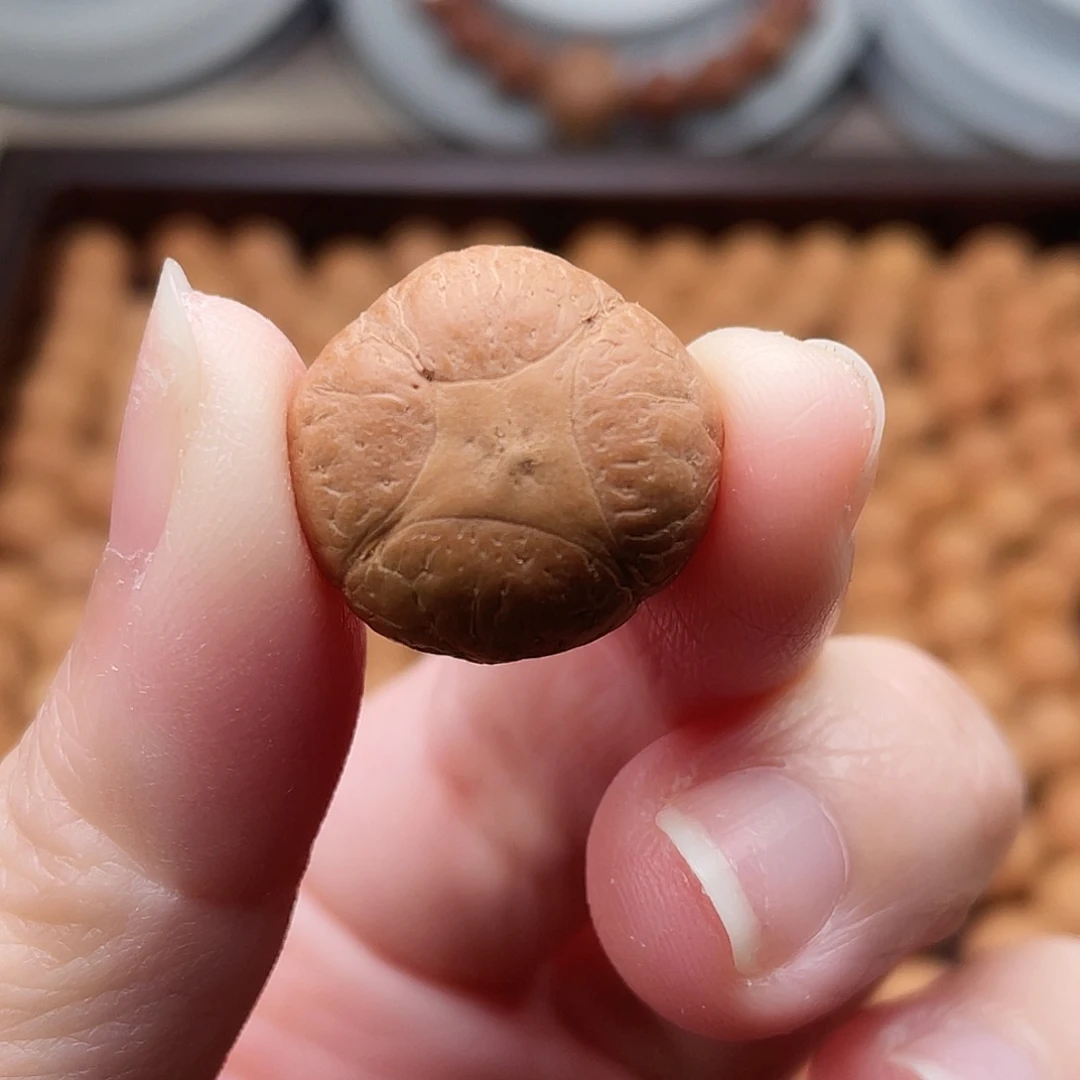 凤眼菩提吊坠麒麟眼三通19×18.4