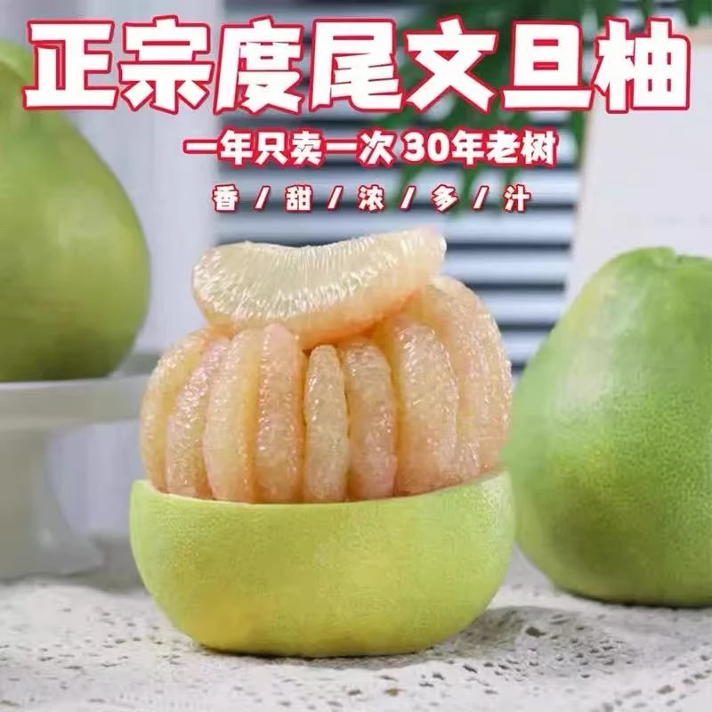 福建仙游度尾正宗老树红心文旦柚新鲜现摘酸甜多汁孕妇水果