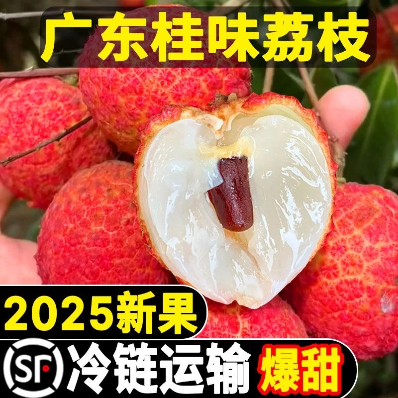 【顺丰冷链】广东老树桂味荔枝新鲜水果现摘现发净重4.5斤