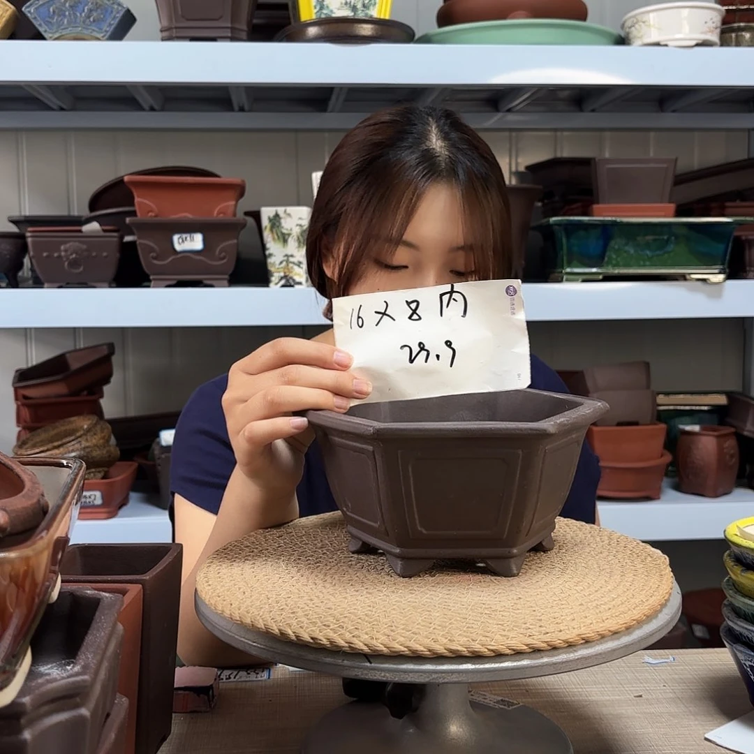 紫砂花盆宜兴紫荆