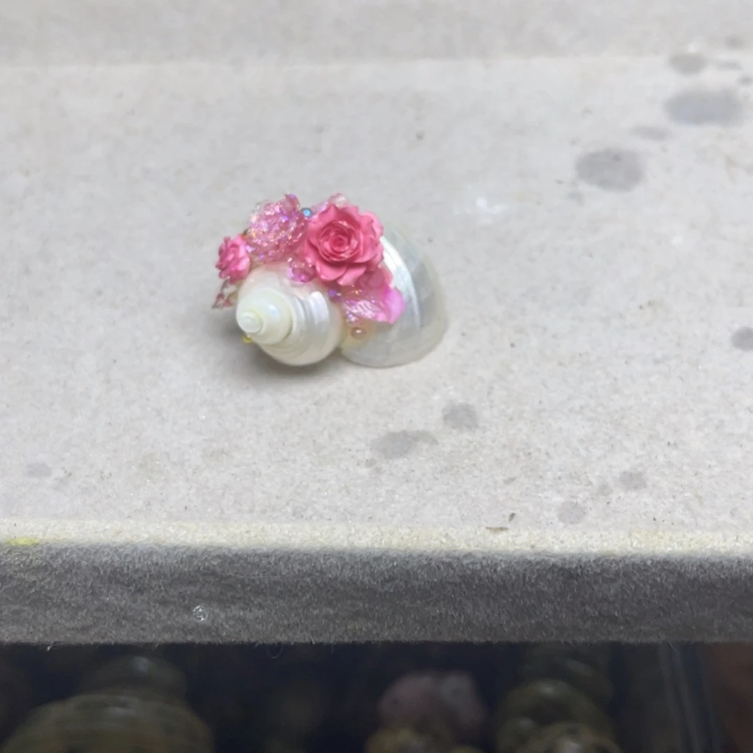 红花花收工壳壳漂亮