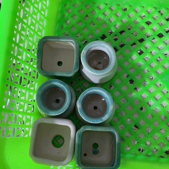 花盆抢购清货马上开始