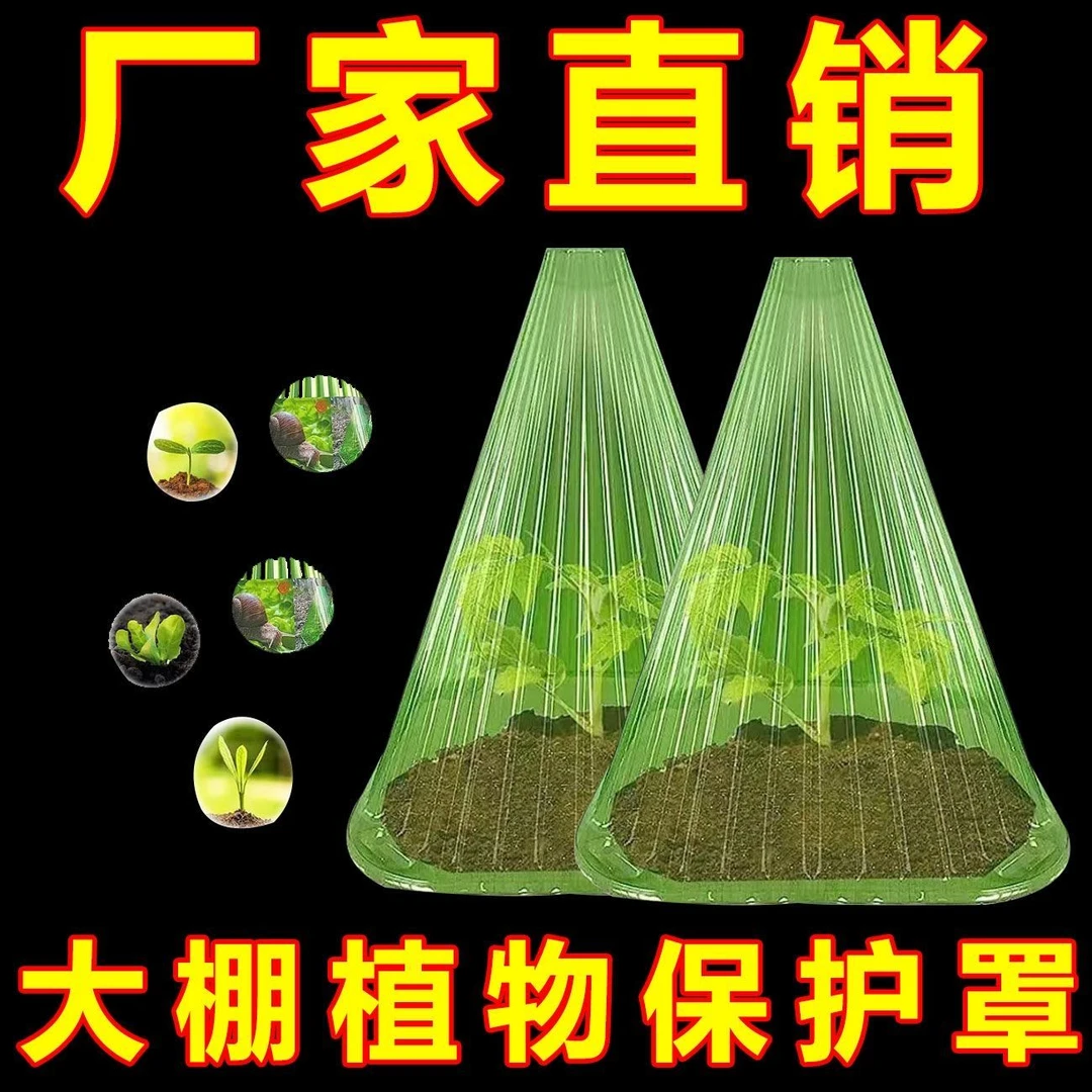 可重复方形使用植物钟罩植物免受鸟类霜冻蜗伤害绿色育苗保护罩