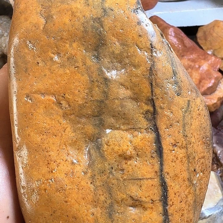 寿山石寿山石的颜色