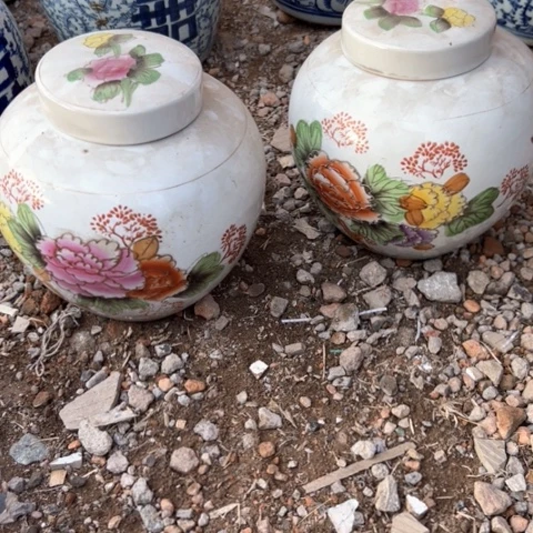 杂色豆（科檀/科特迪瓦檀木）随*