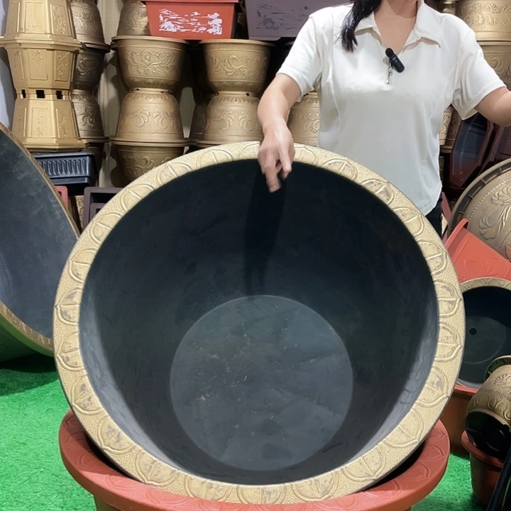 雍***强圆盆古铜八零两个