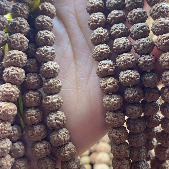 爱***羊金刚菩提吊坠8+不保