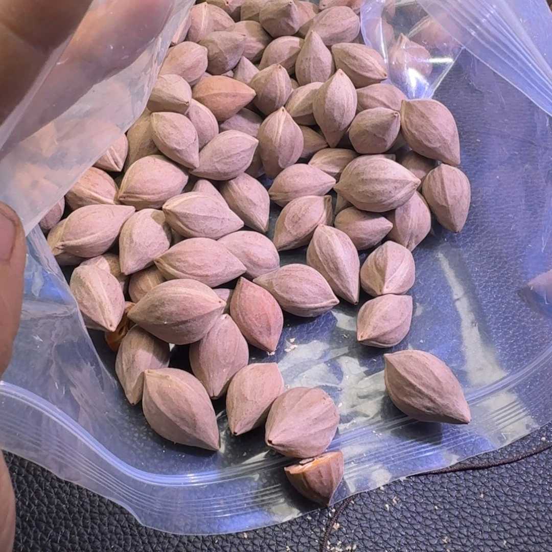 晨***夕手串/手链橄榄核1