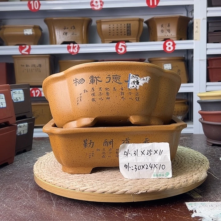 紫砂花盆蛇年大吉