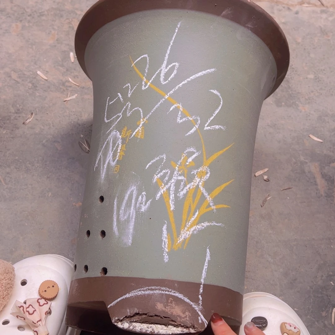 5号…………………………………………