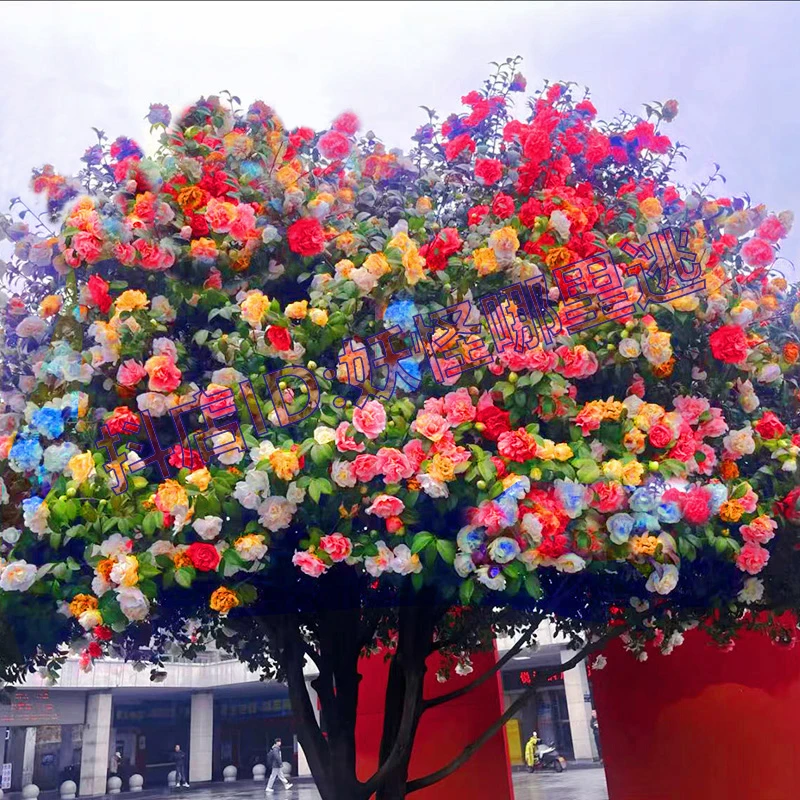 室内外盆栽地栽年宵花花香妃茶花 【摘掉部分叶子后种植】