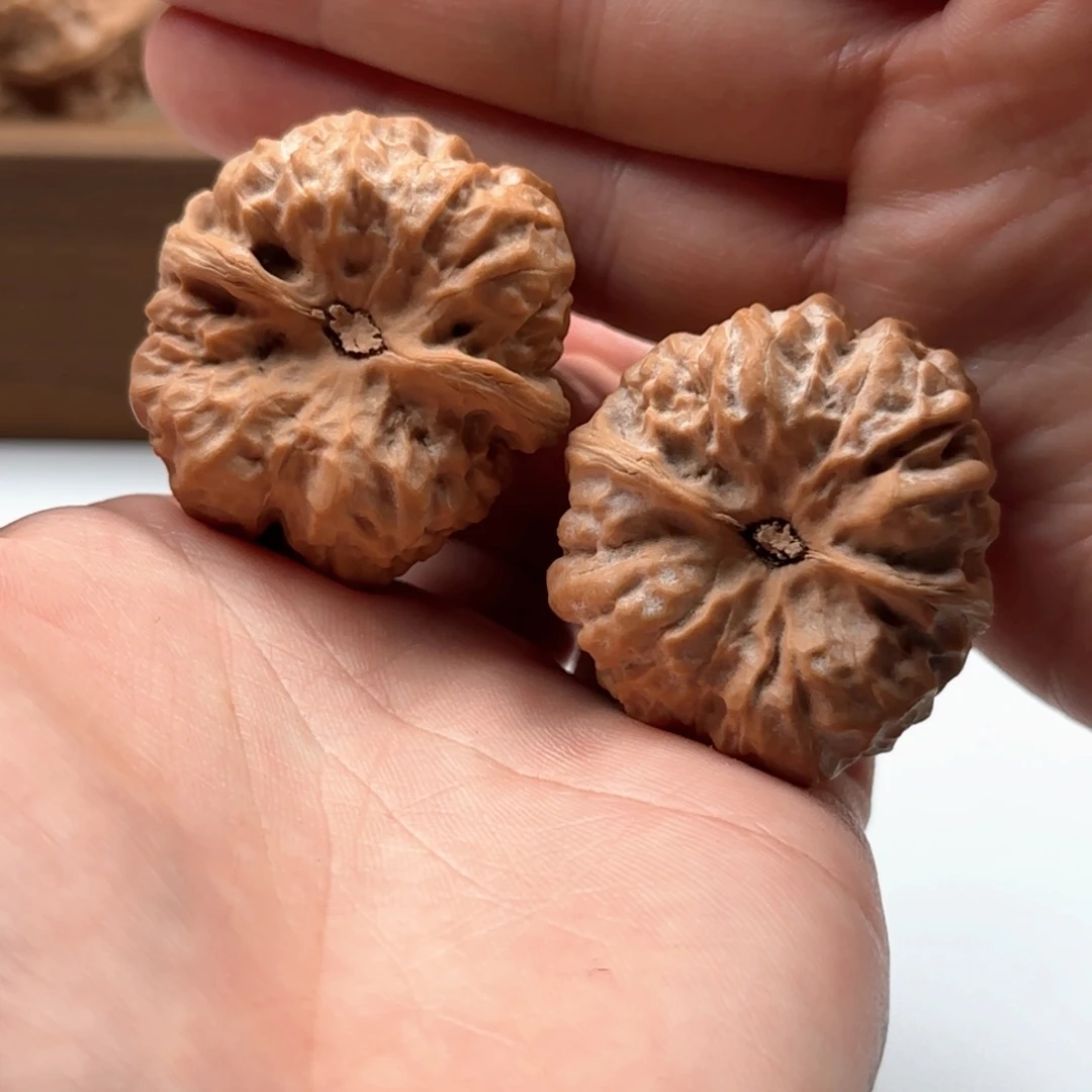 核桃把件延庆蛤蟆