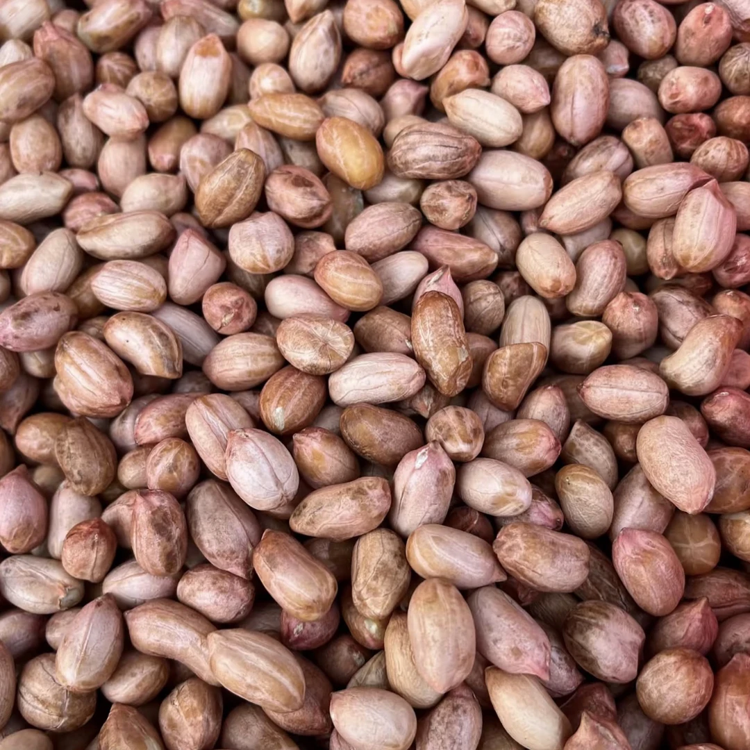 兴城本地黑斑小颗粒花生米