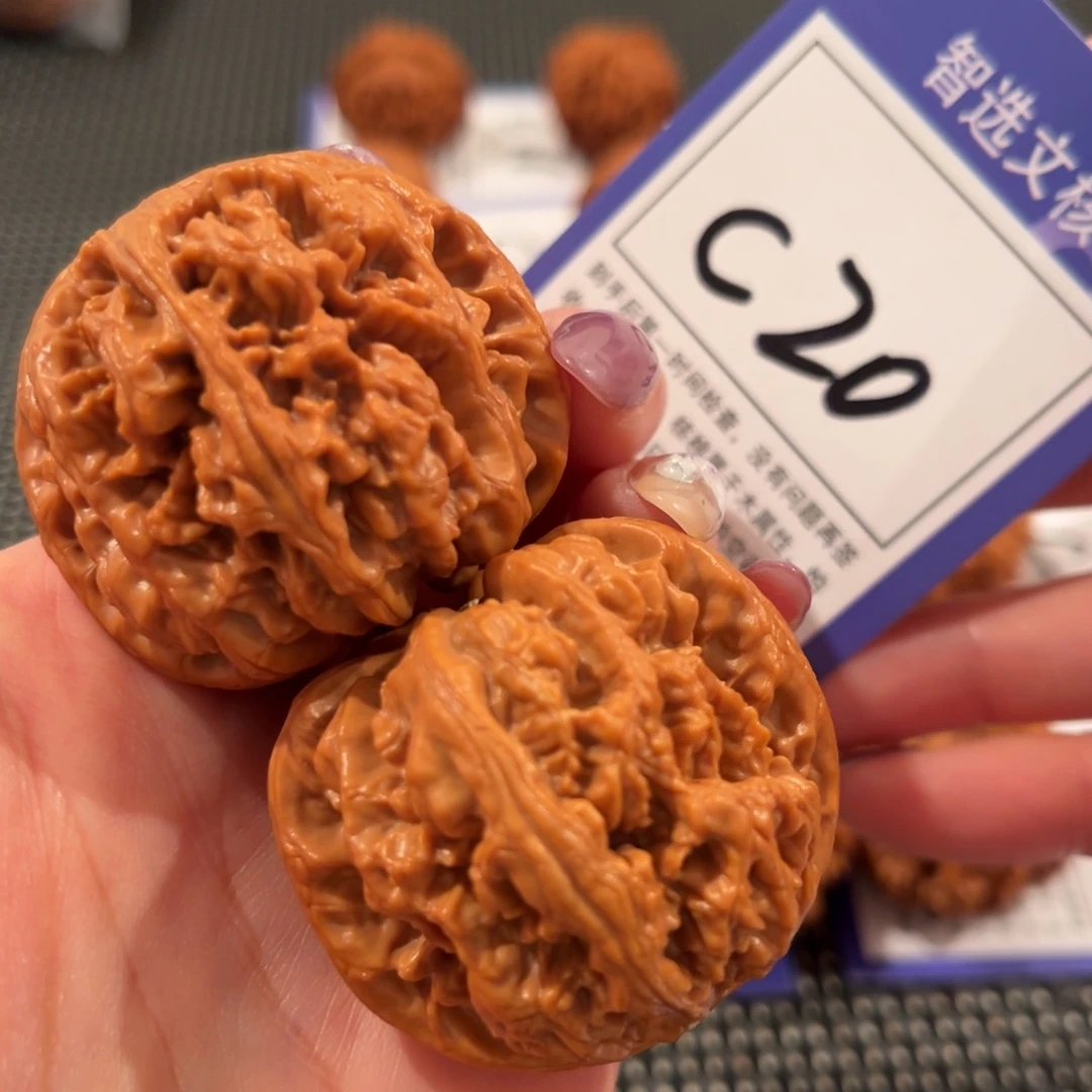 核桃C20号大粗筋4.3