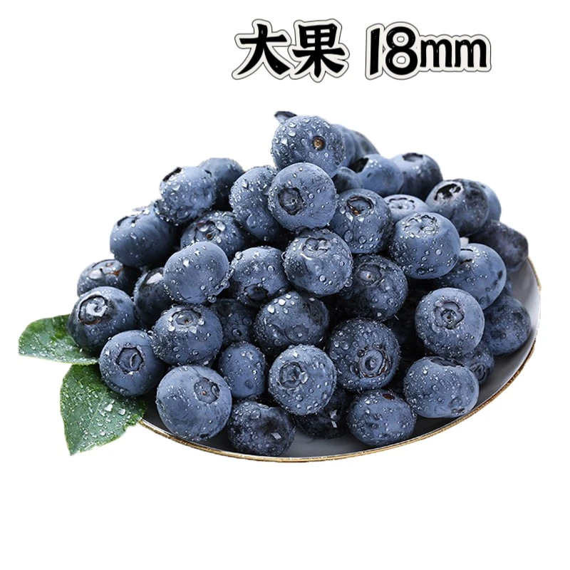 云南蓝莓125g（18+）