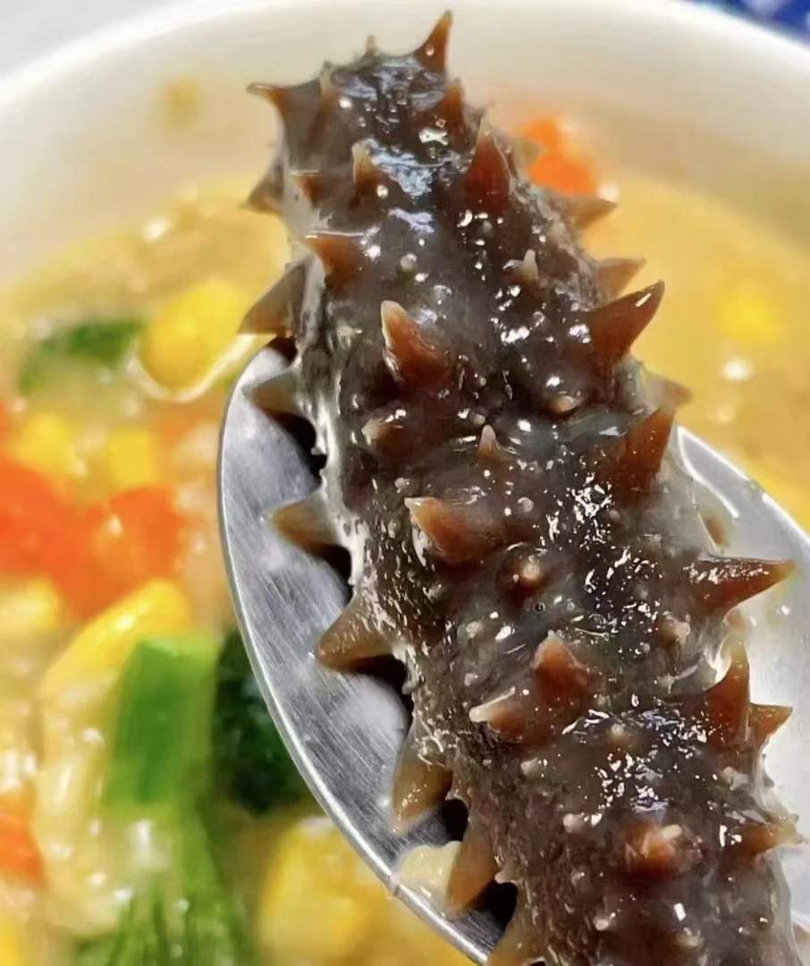 鲜食海参辽刺参到手一斤10-15