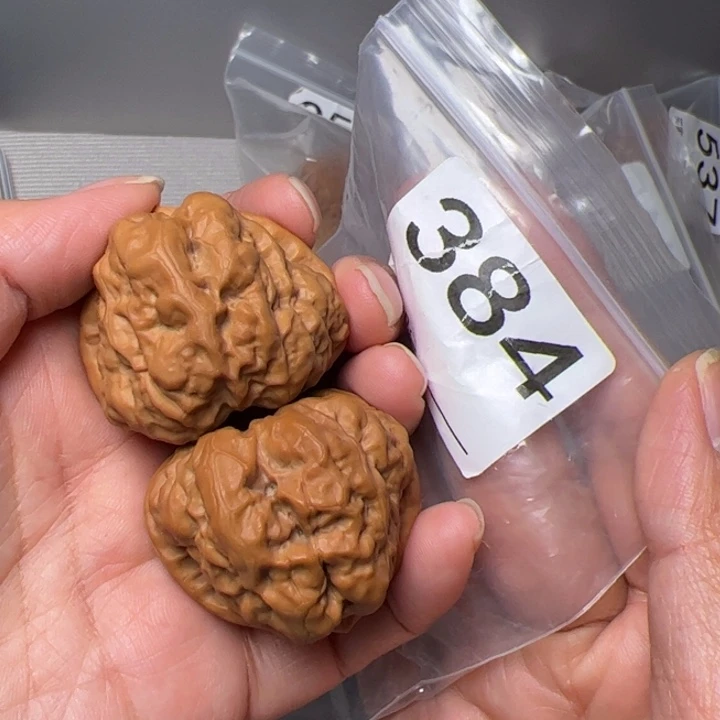 核桃边40肚42尺384号