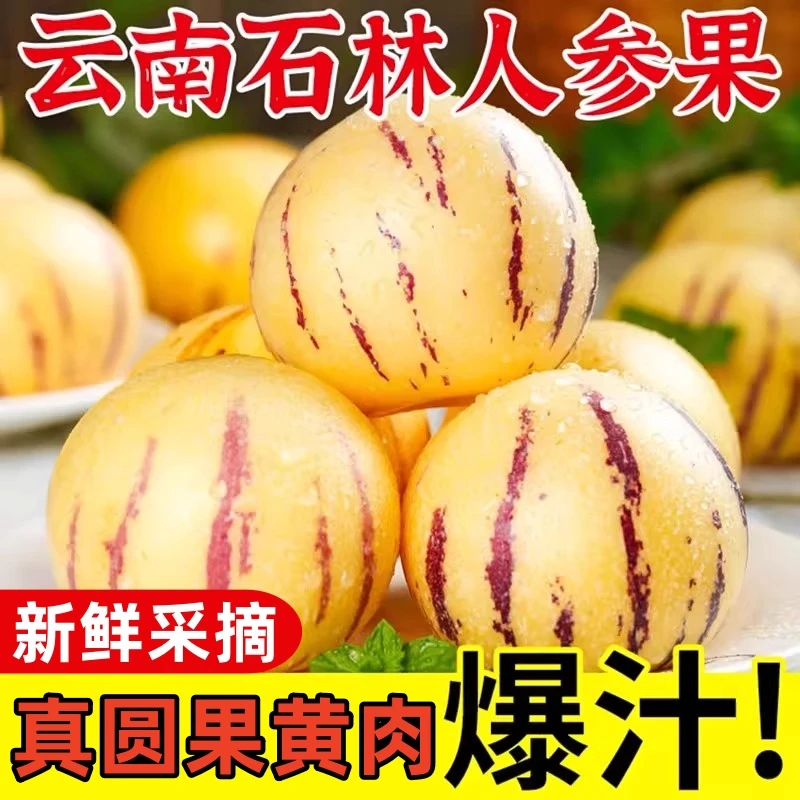 【清甜多汁】正宗云南石林人参果新鲜水果当季黄肉圆果产地直发