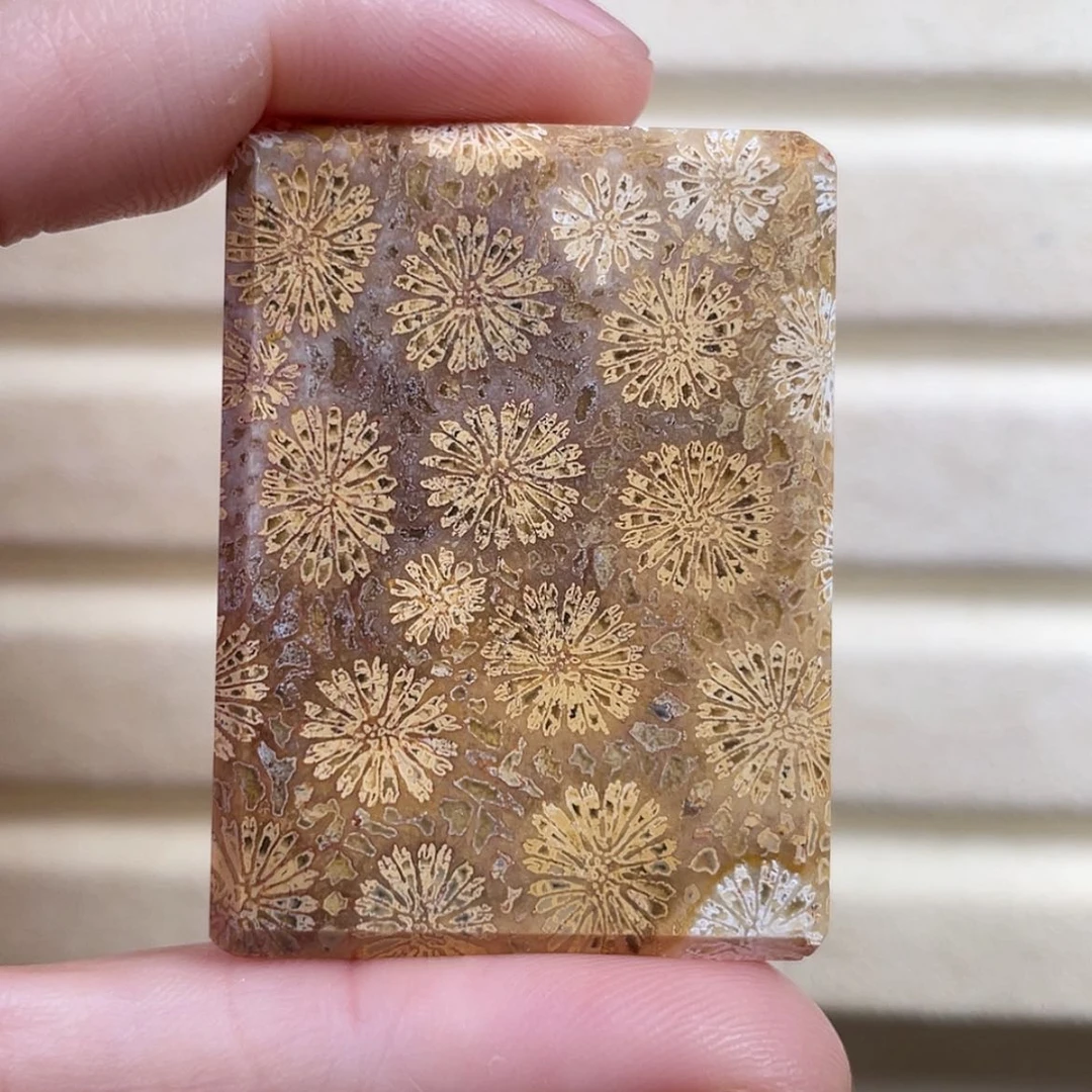 【闪购商品】硅化玉吊坠(赠链)未镶嵌