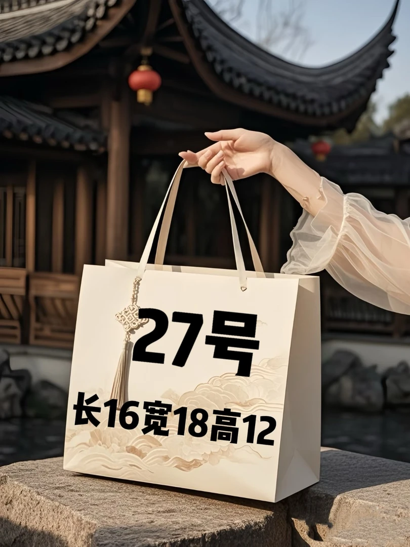 27号时尚Allin bb包A78381-1