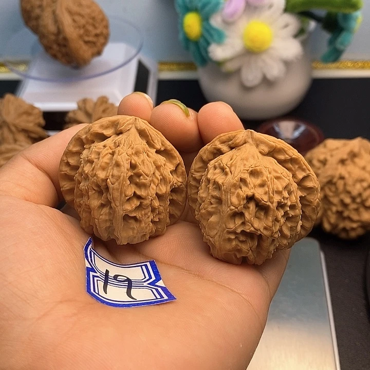 范***生文玩核桃把件41白狮子（微瑕）