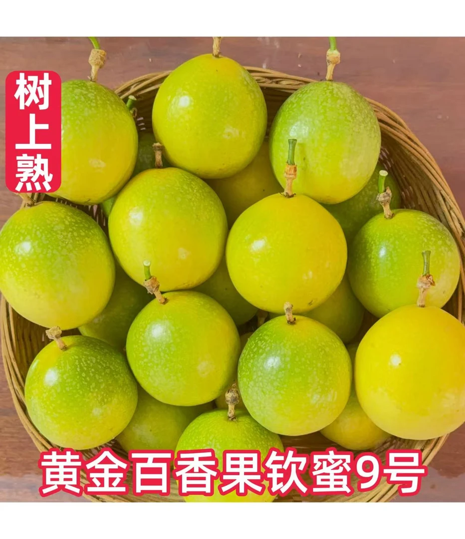 正宗钦蜜9号百香果新鲜现摘当季水果鲜甜多汁