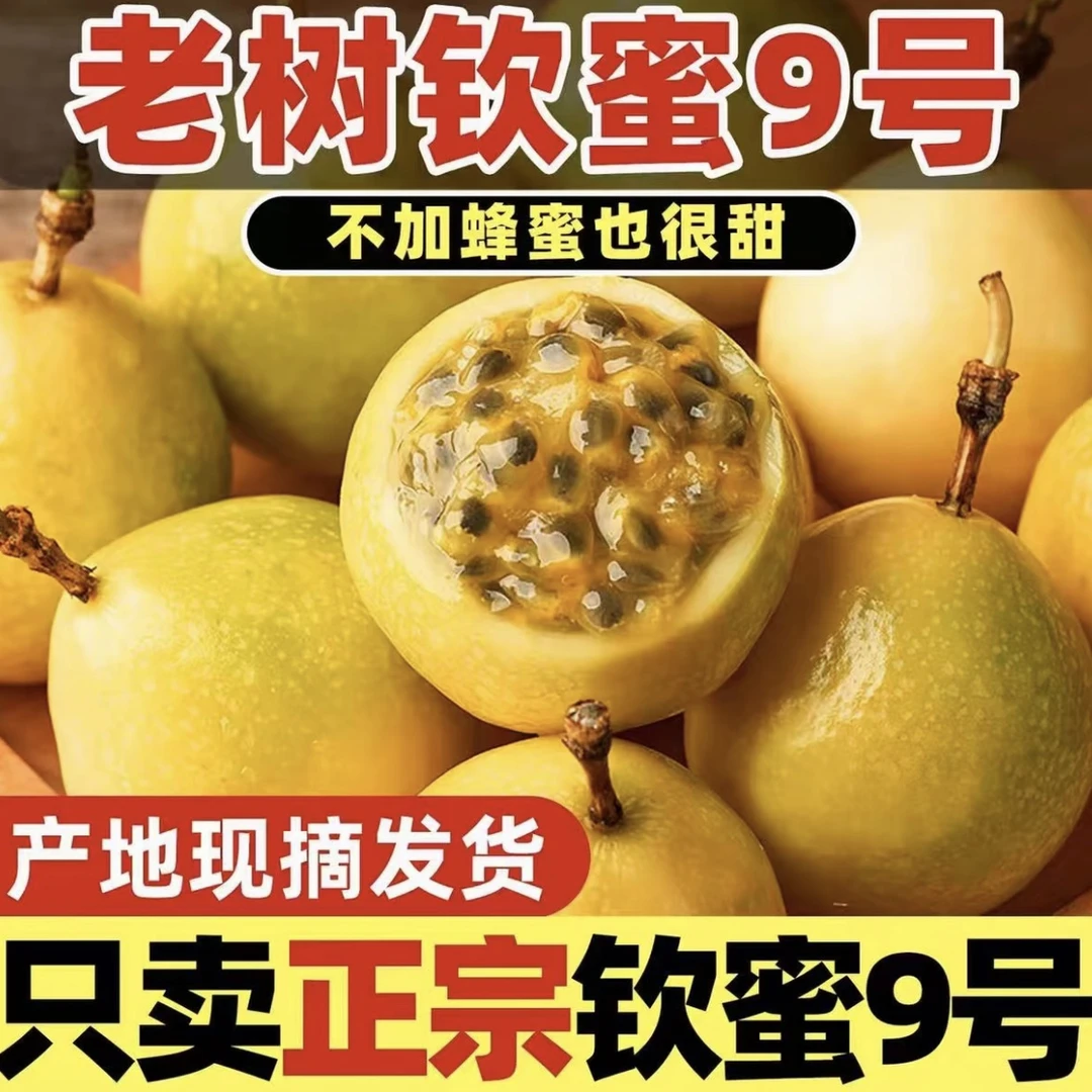 【热卖】新鲜采摘正宗广西钦蜜9号黄金百香果爆汁爆甜现摘现发