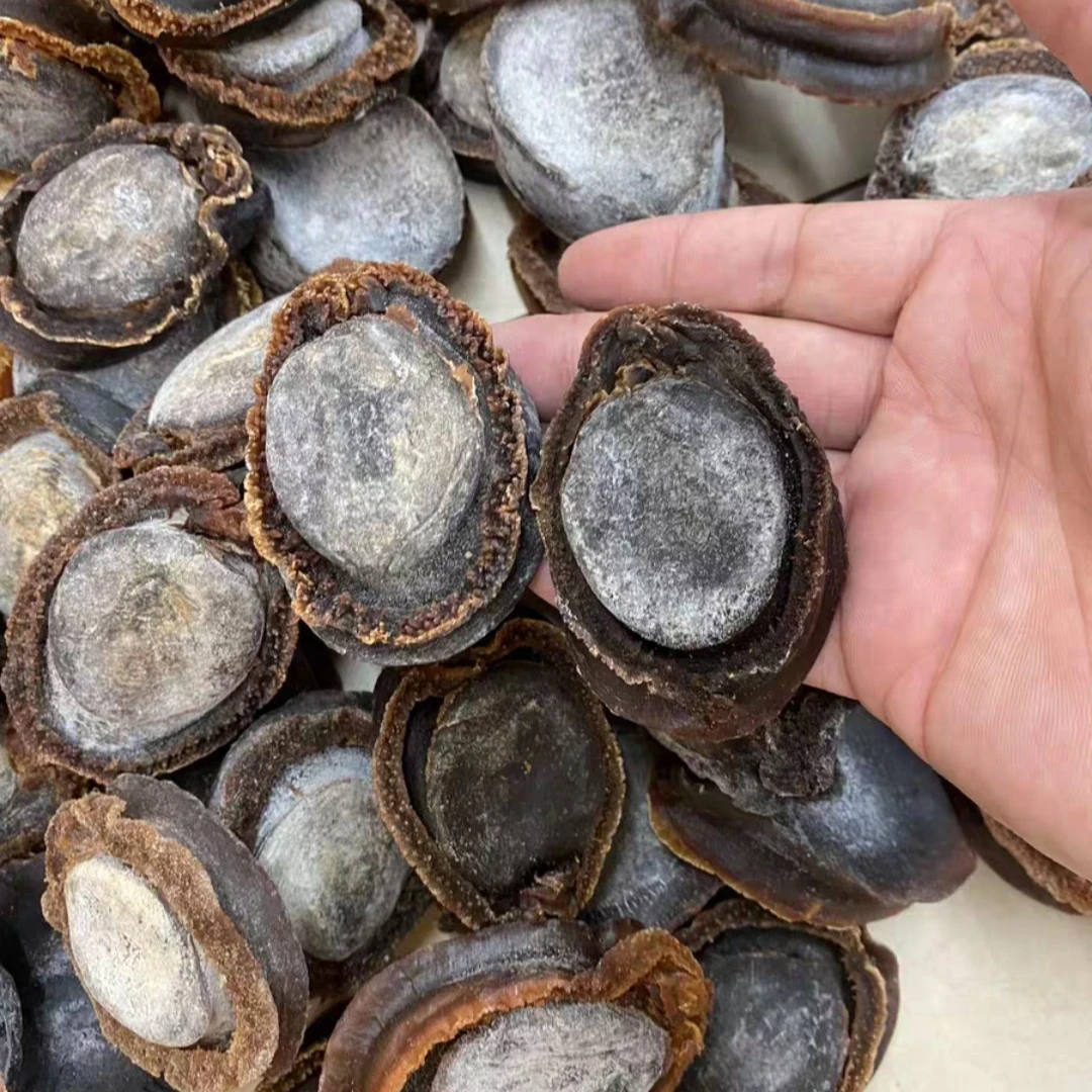 澳网鲍  老澳鲍 老鲍鱼  直播间现场称  9-10头 11-12头 14-16头