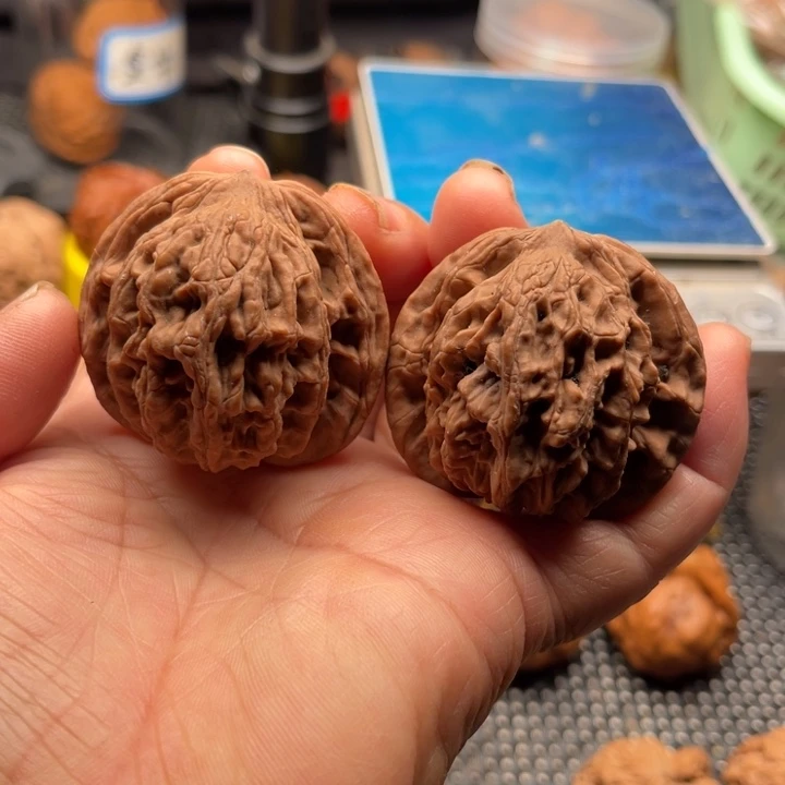 把件桃核原树主人虎头边45