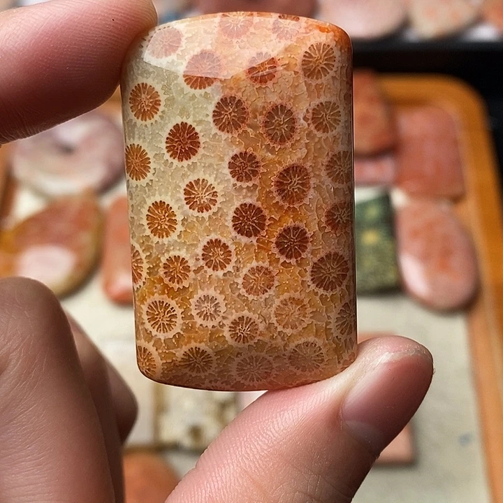 硅化玉颈饰未镶嵌晓****堂