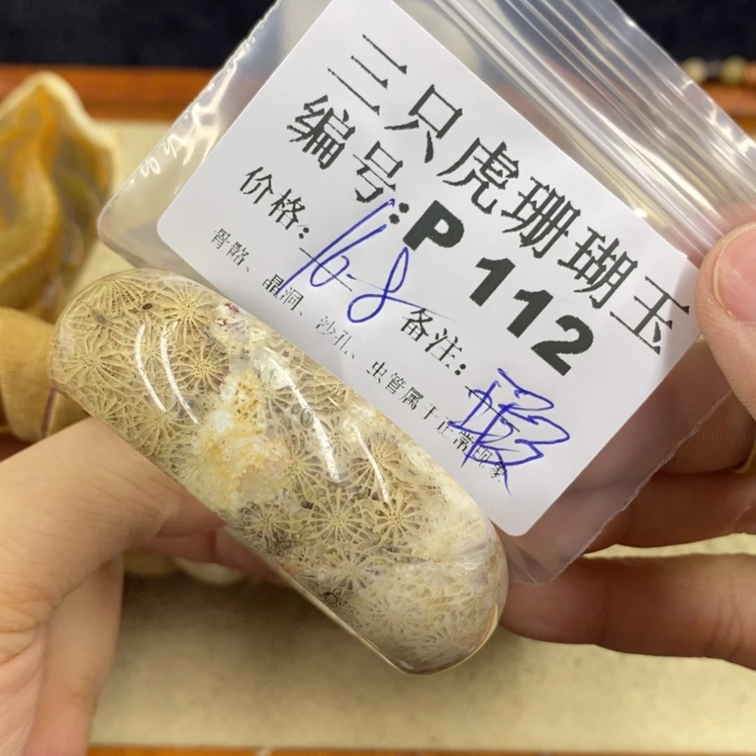 硅化珊瑚（珊瑚玉）1未镶嵌鱼