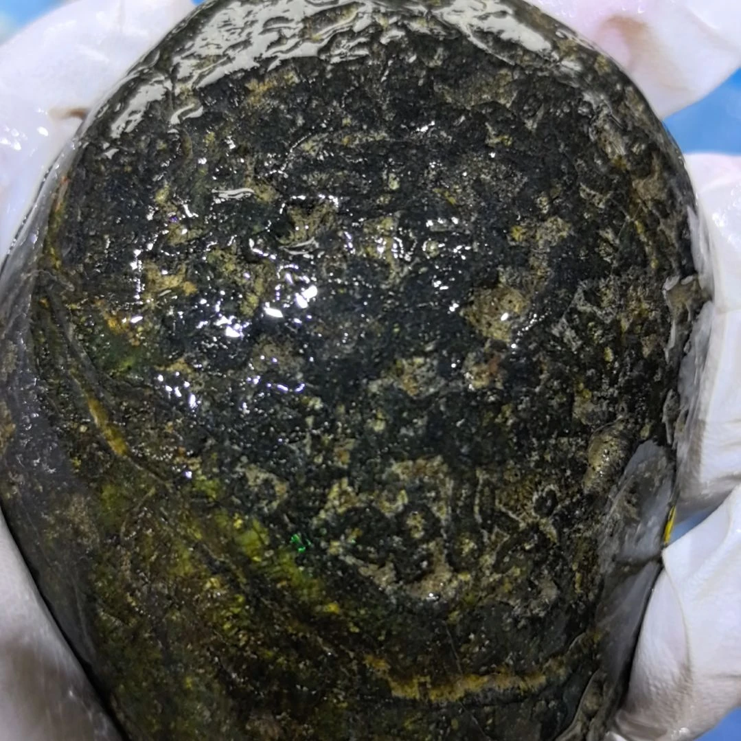 旭***颜木藏玉药王石原石一个
