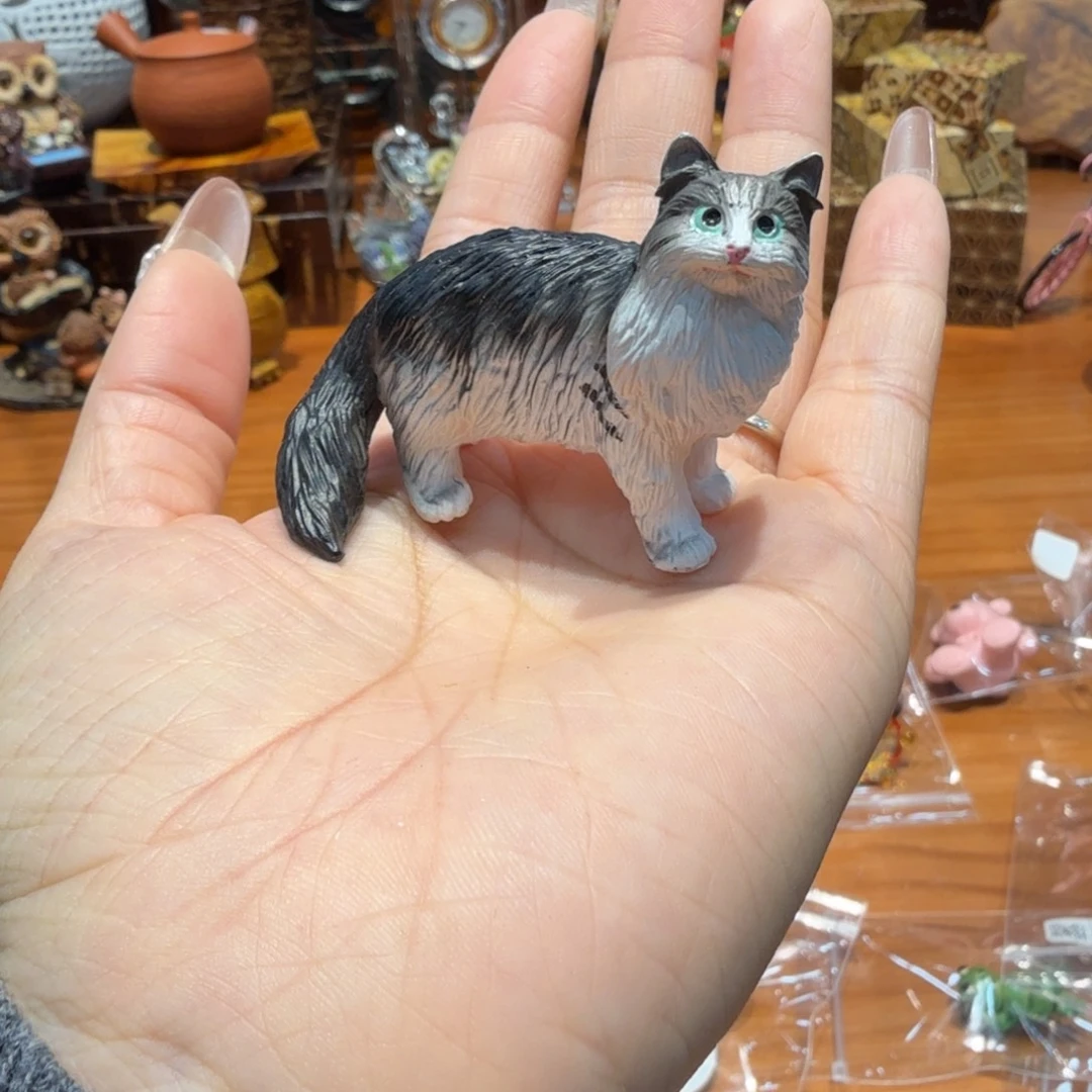 哦哦哦哦哦哦哦哦哦哦