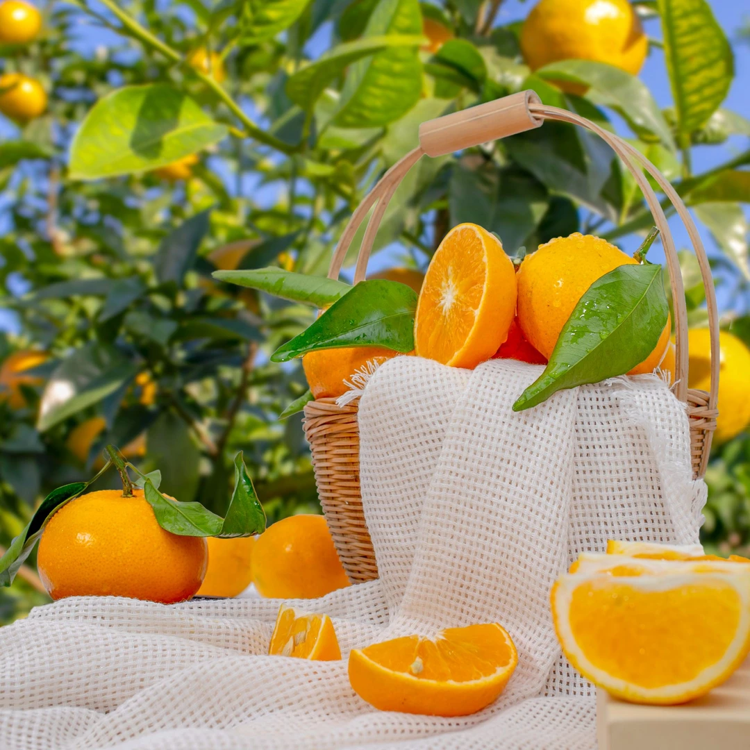 [果园直发]正宗沃柑当季新柑橘子鲜水果鲜嫩多汁3/5/9斤整箱