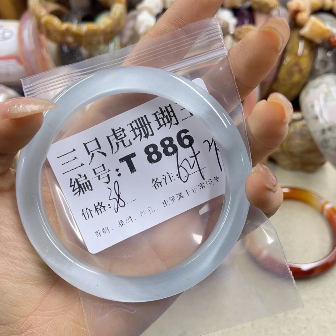 魚***龍硅化珊瑚（珊瑚玉）未镶嵌h