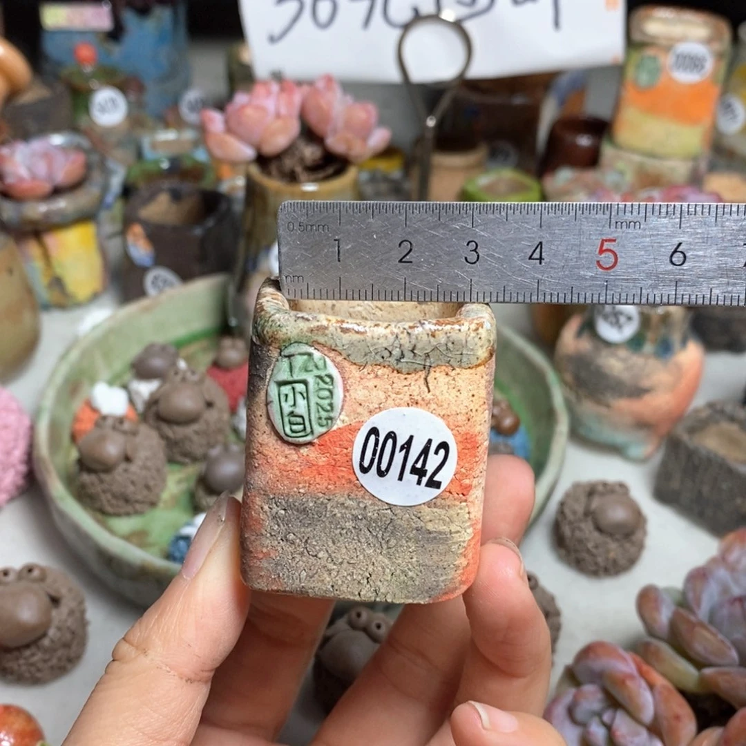 拍3送一个小礼物