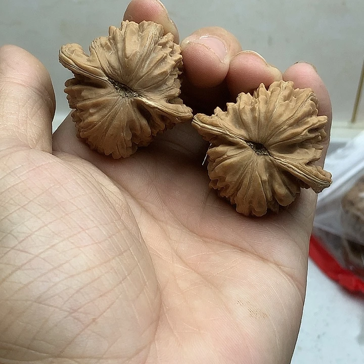 文玩核桃吊坠40 楼子