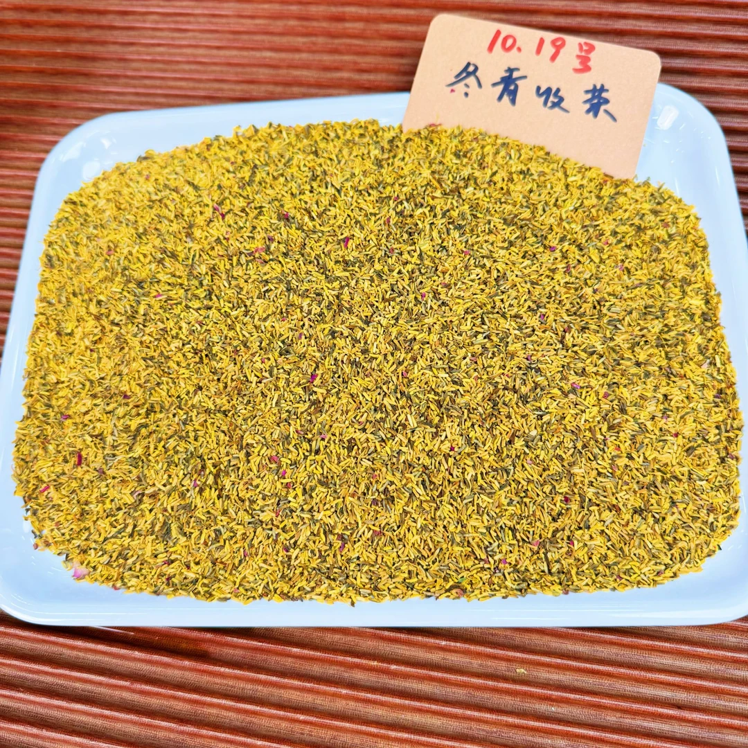 黄金凤蕊 荒野花蕊自然色 蜜香浓郁 洛阳产区  冬青收茶
