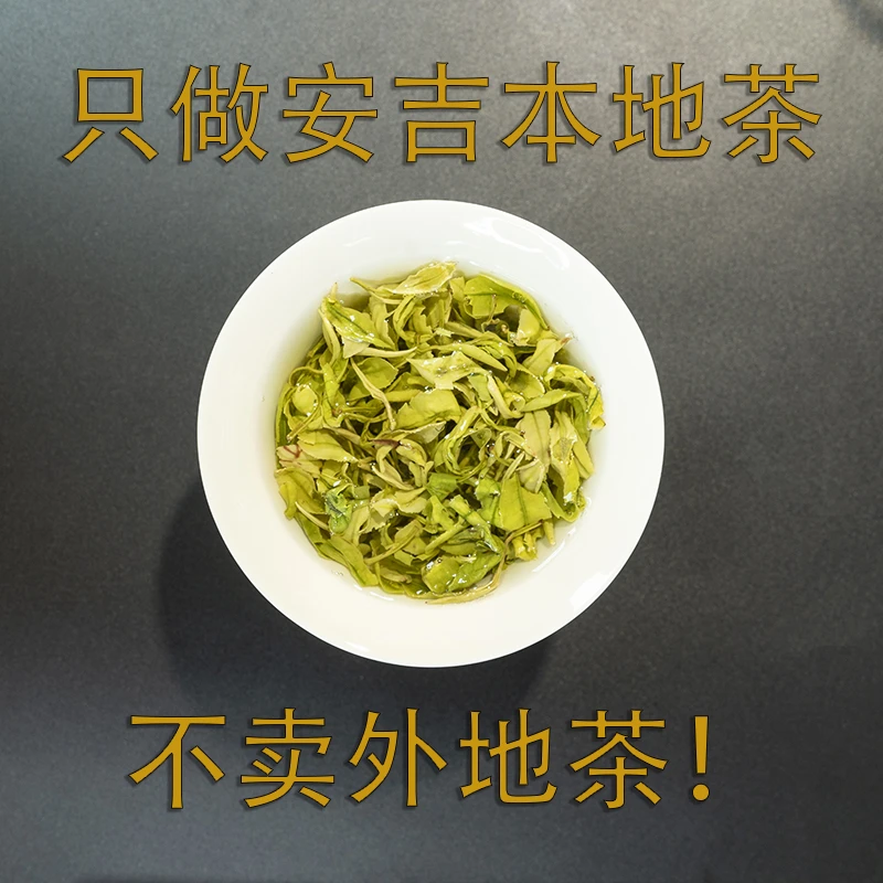 2025年新茶安吉原产地昆铜手工奶白黄金芽黄金龙爪高香高甜A20