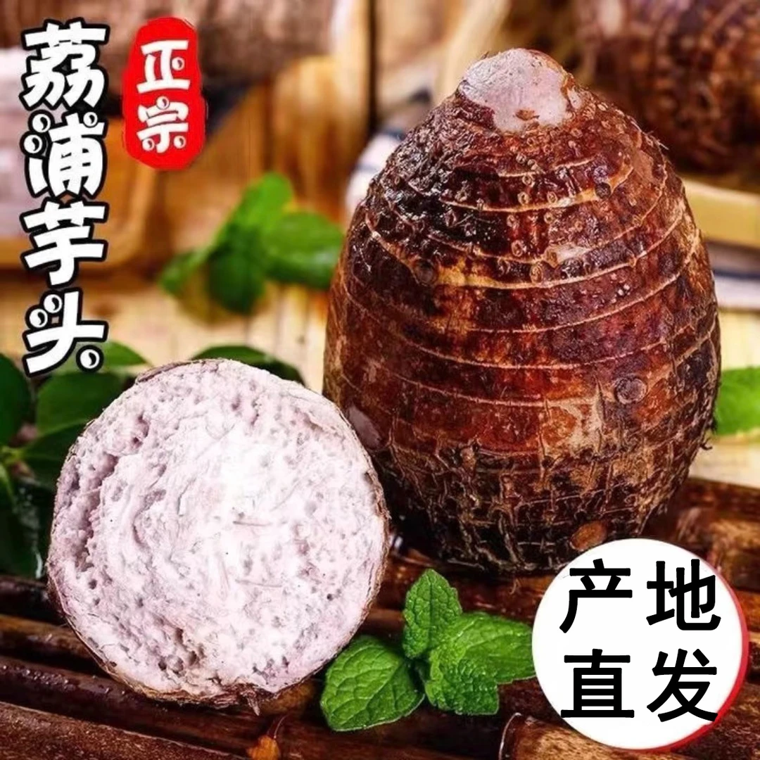 广西荔浦正宗新鲜现挖香芋芋头特产毛芋头桂林送礼产地