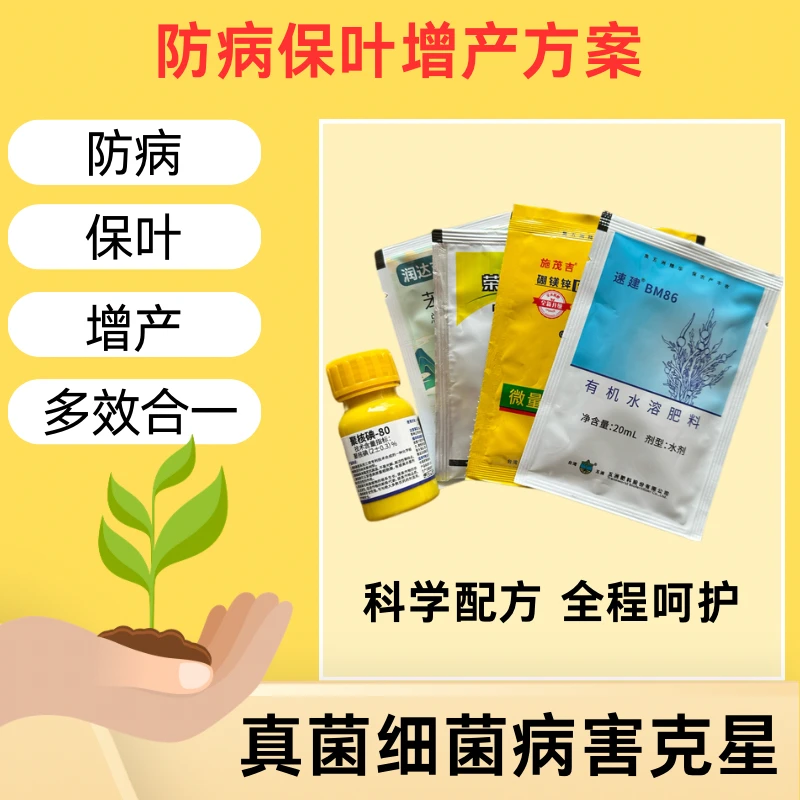 15一桶水 瓜豆真菌细菌叶面肥（5合1）组合套餐