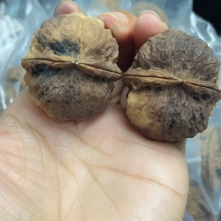 木质类云南铁核桃基地85