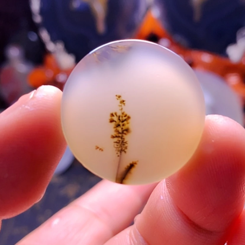 【闪购商品】玛瑙/玉髓颈饰未镶嵌