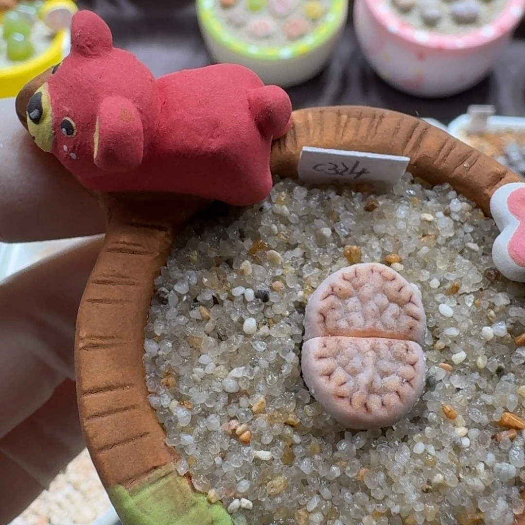 0927-029连盆带花饼干粉色324