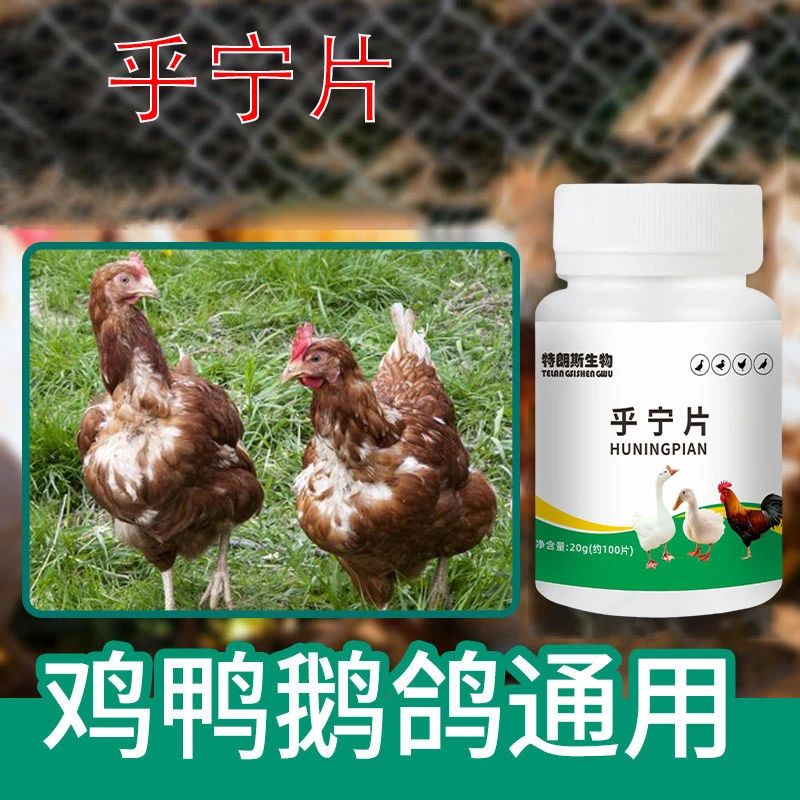 呼宁片正品厂家直发鸡鸭鹅家禽养殖常备饲料添加剂