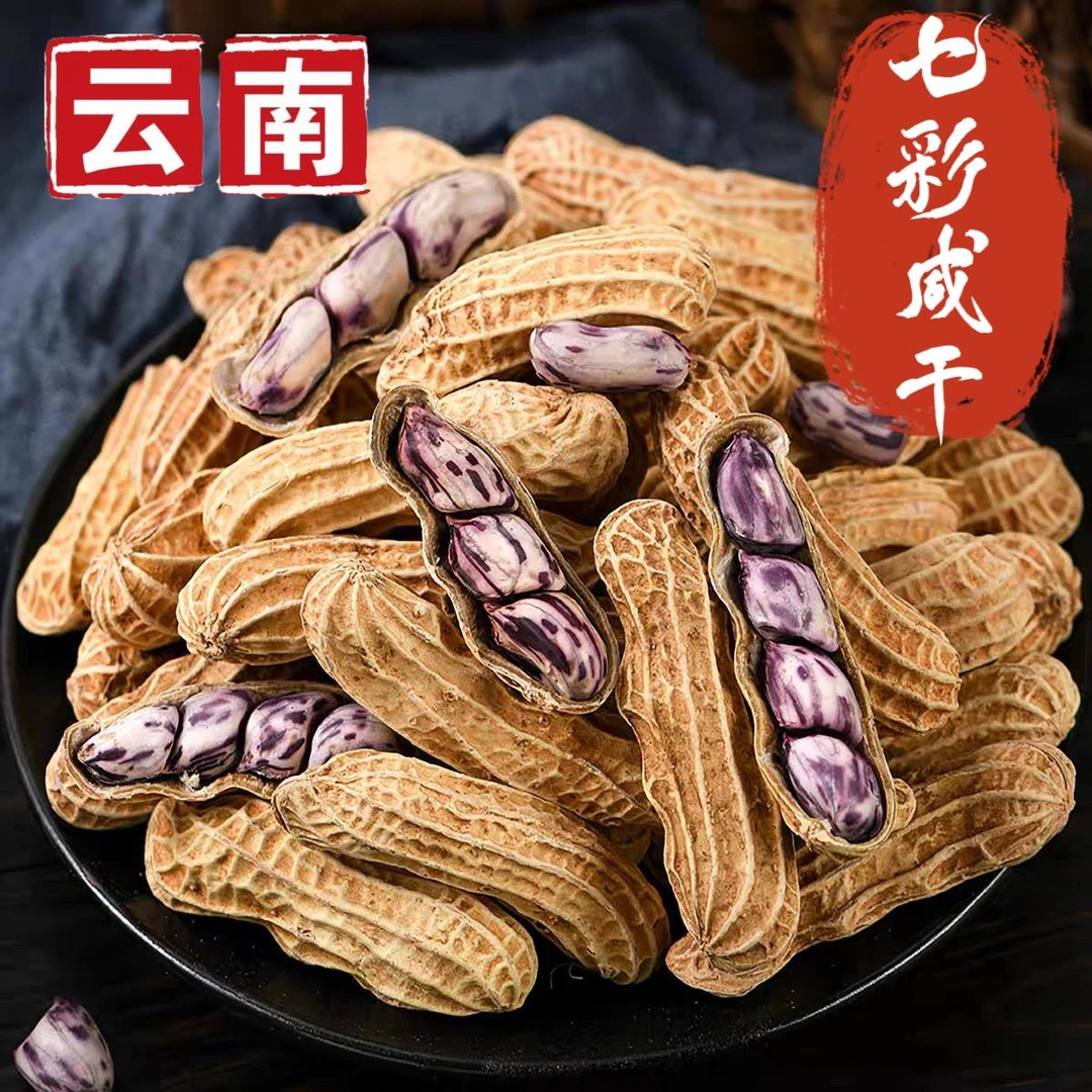 2025新货云南土特产七彩花生咸干水煮香甜带壳牛奶花生野餐露营