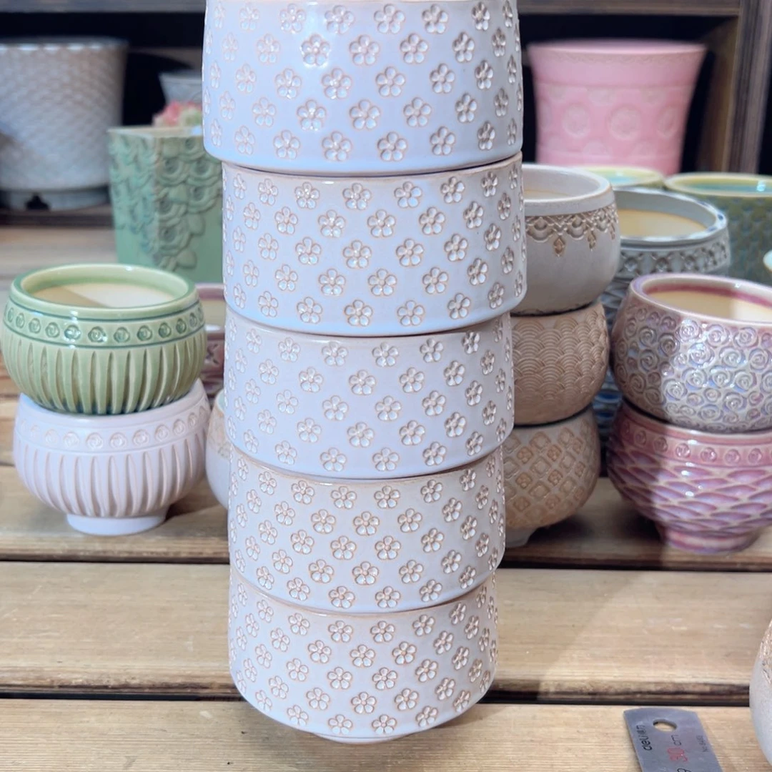 瓷片柏*dy0218-074B五个一组