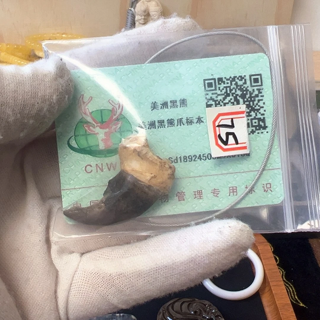 银S925天然猛犸象牙雕刻品