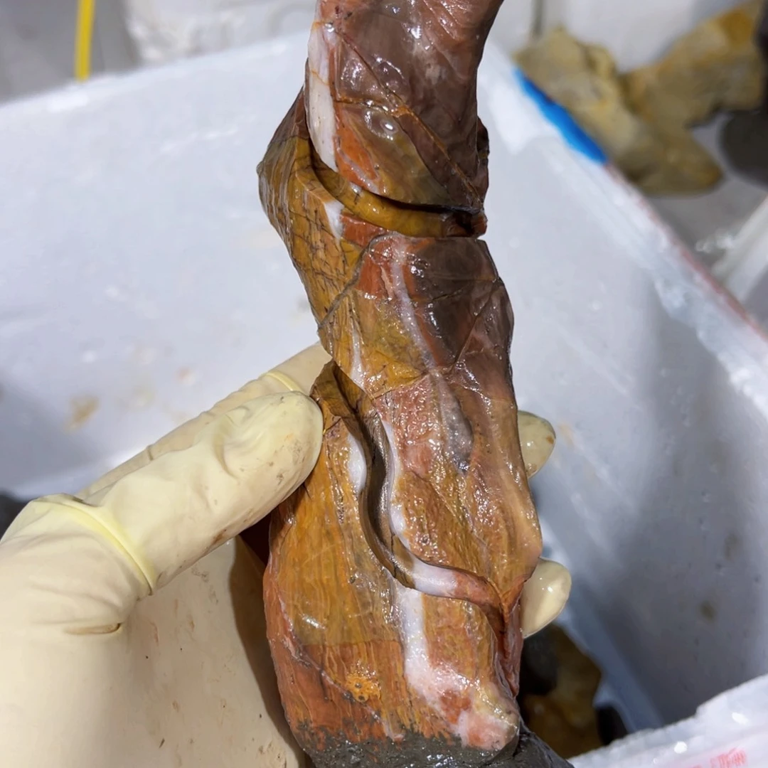 ?****?附石盆景一物一拍