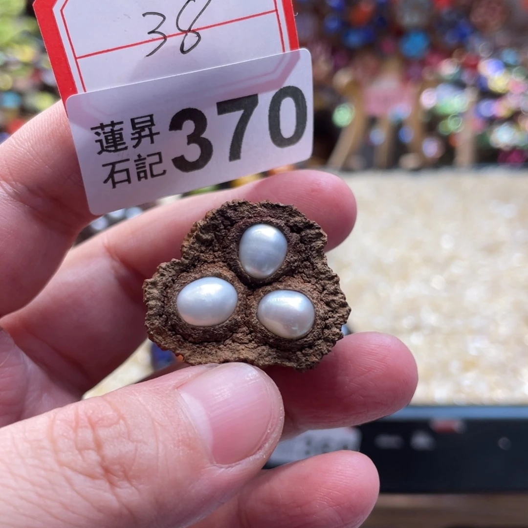 核桃木/黑胡桃（胡桃木）370珍珍